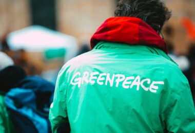 Greenpeace, Klima, CO2, EU, Verbrenner, Verbrenner-Aus, Verbrenner-Verbot