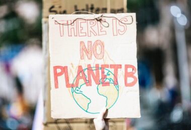 Klimawandel, Plakat, Nachhaltigkeit, Greenwashing