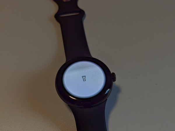 Google Pixel Watch Display