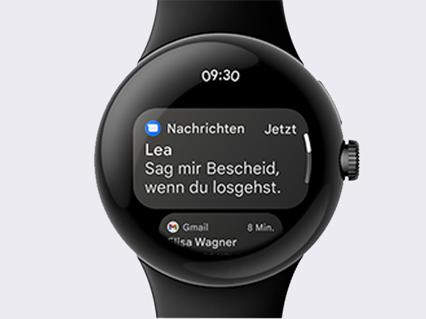 Google Pixel Watch Software