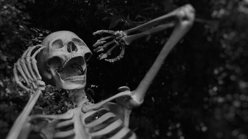Halloween Filme, Streaming, Netflix, Prime, Disney Plus, gruseligsten Filme, Horrorfilme