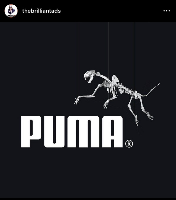 Puma, Puma Logo