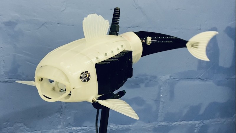 Roboterfisch, Wettbewerb, Roboter, Robo-Fisch, Mikroplastik, Meer, Umwelt, Umweltverschmutzung, Contest, Natur