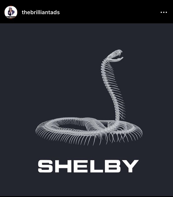 Shelby, Shelby Logo, Shelby Schlange