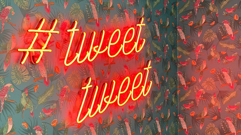 This artificial intelligence predicts your tweets