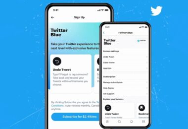 Twitter, Elon Musk, Twitter Blue, Verifizierung, blauer Haken, Twitter verifizieren