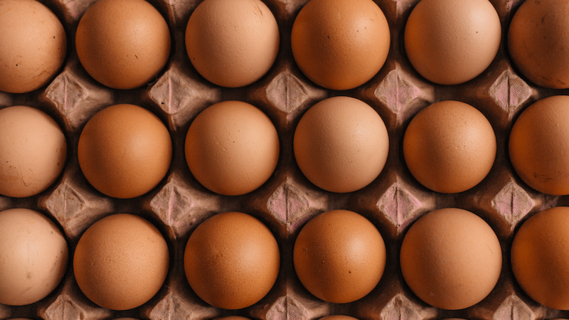 Mikroplastik, Hühnerei, Ei, Eier, Huhn