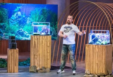 Aquakalalax, Aquarium-Filter, DHDL, Die Höhle der Löwen, Vox