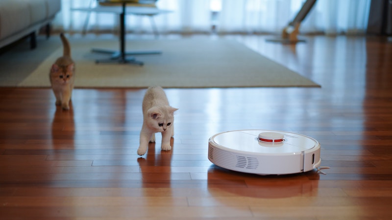 These are the 10 best vacuum cleaner robots