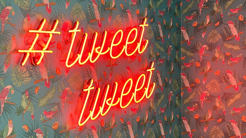 Leselimit Tweets, Twitter Google Index, Beschränkung, Twitter Promis, Twitter, bevorzugte Promis