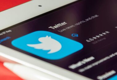 Twitter-Umfragen, Twitter Blue, Elon Musk, Für dich-Empfehlungen