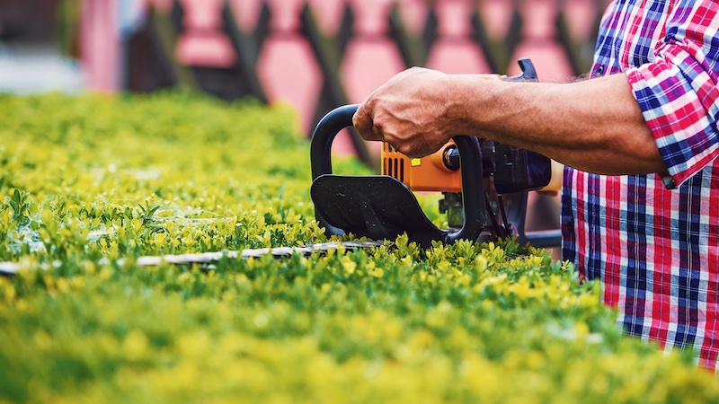 besten Akku-Heckenscheren, Garten, Heckenschere, Stiftung Warentest, Batterie, Hecke