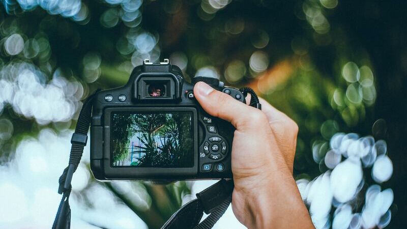 These are the 10 best digital cameras