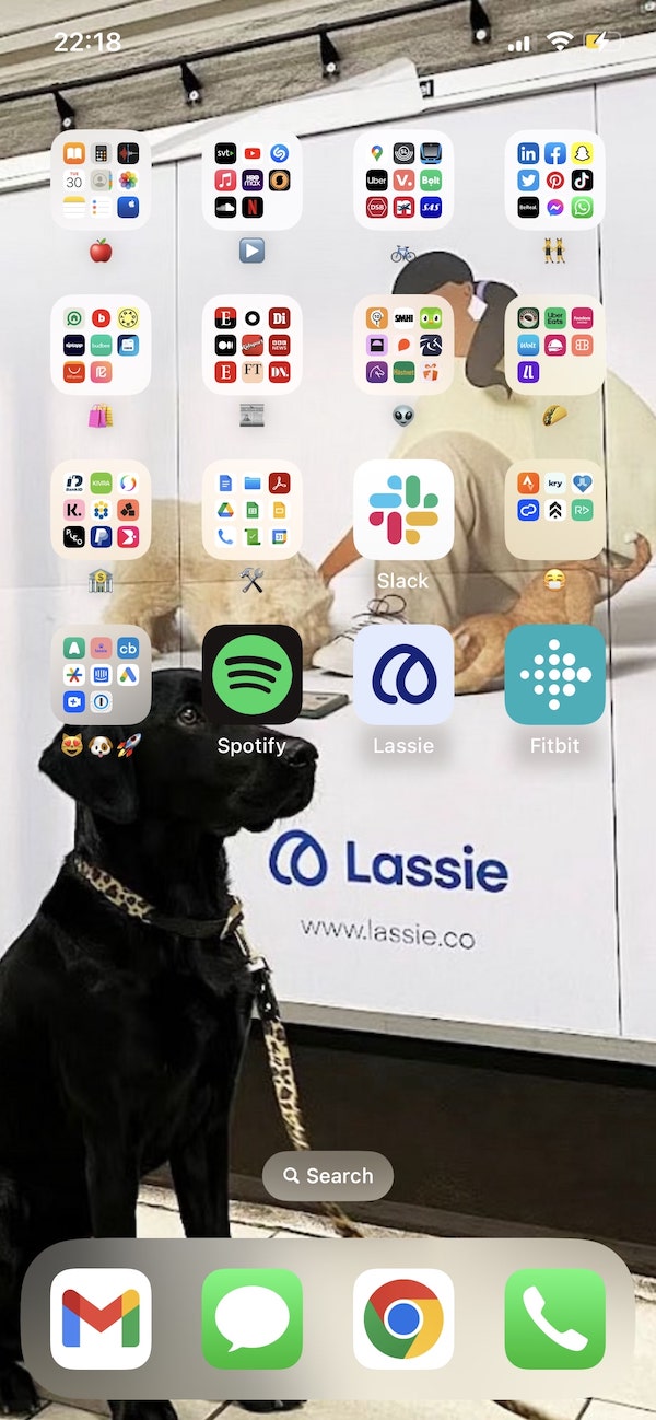 Hedda Båverud Olsson, Gründerin,CEO, Lassie, App, Homescreen, Hundeversicherungen, Smartphone