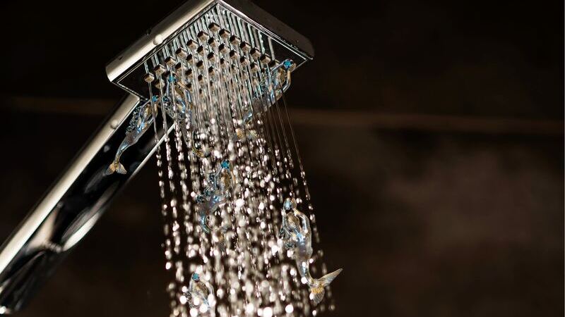 These are the 10 best economy shower heads
