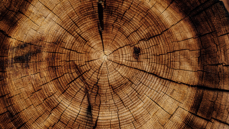 Das Baumaterial Holz ist weniger nachhaltig, als bislang gedacht