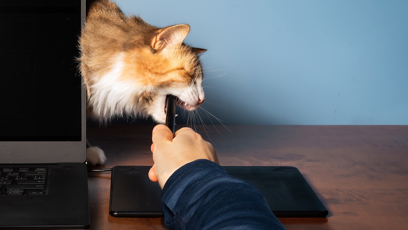 Ablenkung Arbeit, Störfaktoren Arbeit, Was stört bei der Arbeit