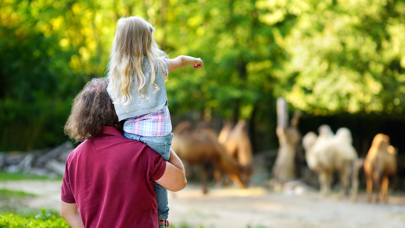 besten Zoos, besten Tierparks, beleibtesten Zoos