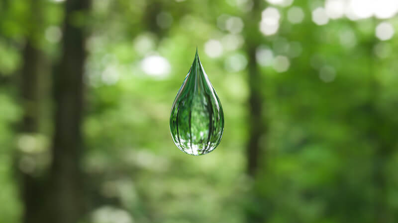 Trinkwasser, Wasser, Wassertropfen, Tropfen, Luft, Wald