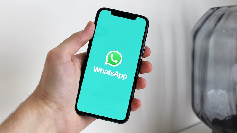 WhatsApp kursiv, WhatsApp, Meta, WhatsApp