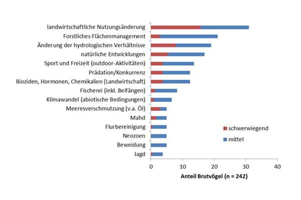 Gefährdungen Vögel Deutschland