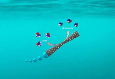 Motor Abwasser, Mikromotoren, Abwasser, Reinigung, Naturschutz