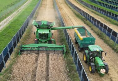 Vertikale Solarmodule, Agrivoltaik, Landwirtschaft, Solaranlage, Solarpanel, Solarpark