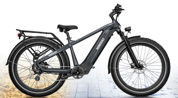 Himiway Zebra (D5) E-Bike 