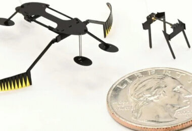 Mikroroboter, kleinste Roboter, Mikroroboter-Innovation Käfer Wasserläufer