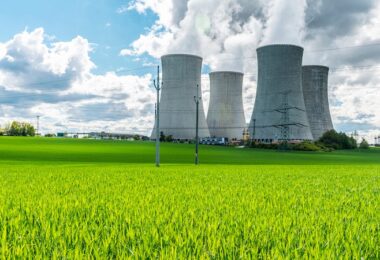 Die Grünen Atomaussteig, Märchen Atomausstieg, Atomausstieg Deutschland Chronologie