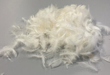 Klebstoff-Innovation, Federn, Feder, Kleber