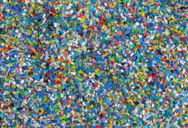 Mikroplastik Plazenta Studie