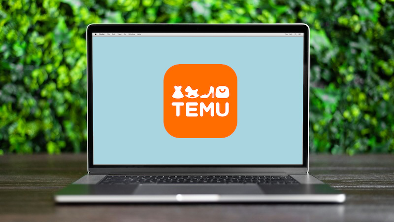 Temu verbieten, Temu, Online-Shop