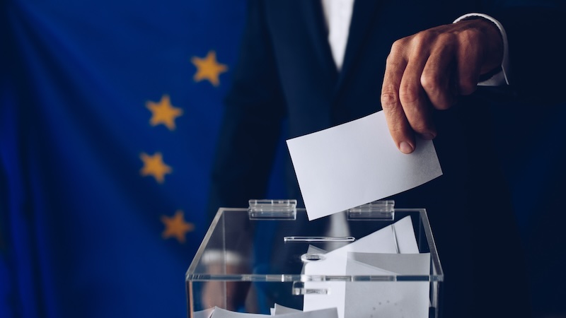 Europawahl deutsche Wirtschaft