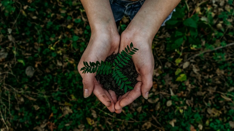 Green Skills