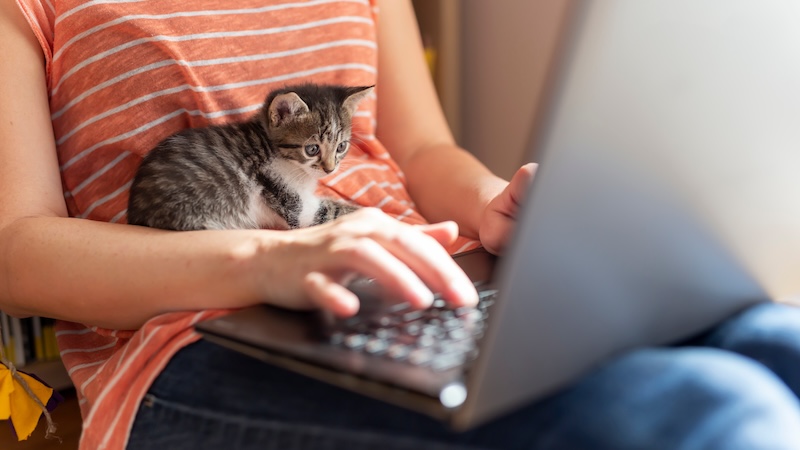 Remote Work, Homeoffice, Arbeit, Work from Home, Job, Unternehmen, Arbeitnehmer, Studie, Statistik, Daten
