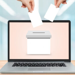 online wählen digitale Wahl Bundestagswahl 2025