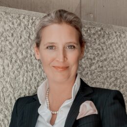 Wahlprogramm AfD Alternative für Deutschland Bundestagswahl 2025