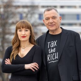 Wahlprogramm Linke Bundestagswahl 2025 Digitalisierung Mobilität Energie