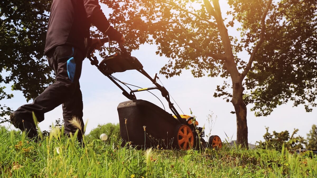 besten Rasenmäher, Akku, Kabel, Stiftung Warentest, Ranking, Geräte, Vergleich, Gartenarbeit, Zuhause, Garten, Heimwerken, Baumarkt