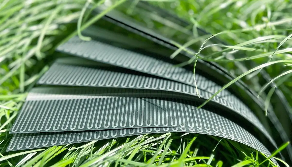 Biegsame flexible Solarzellen, Energie, Nachhaltigkeit