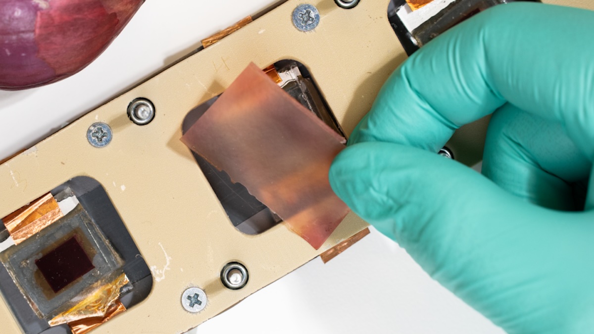 Solaranlagen UV-Strahlung Zwiebelschale Gemüse Zwiebel Photovoltaik