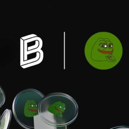 Bitpanda x pepe