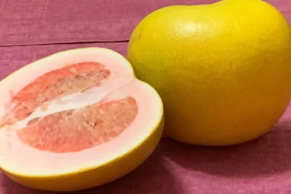 Pomeloschalen als Stromquelle