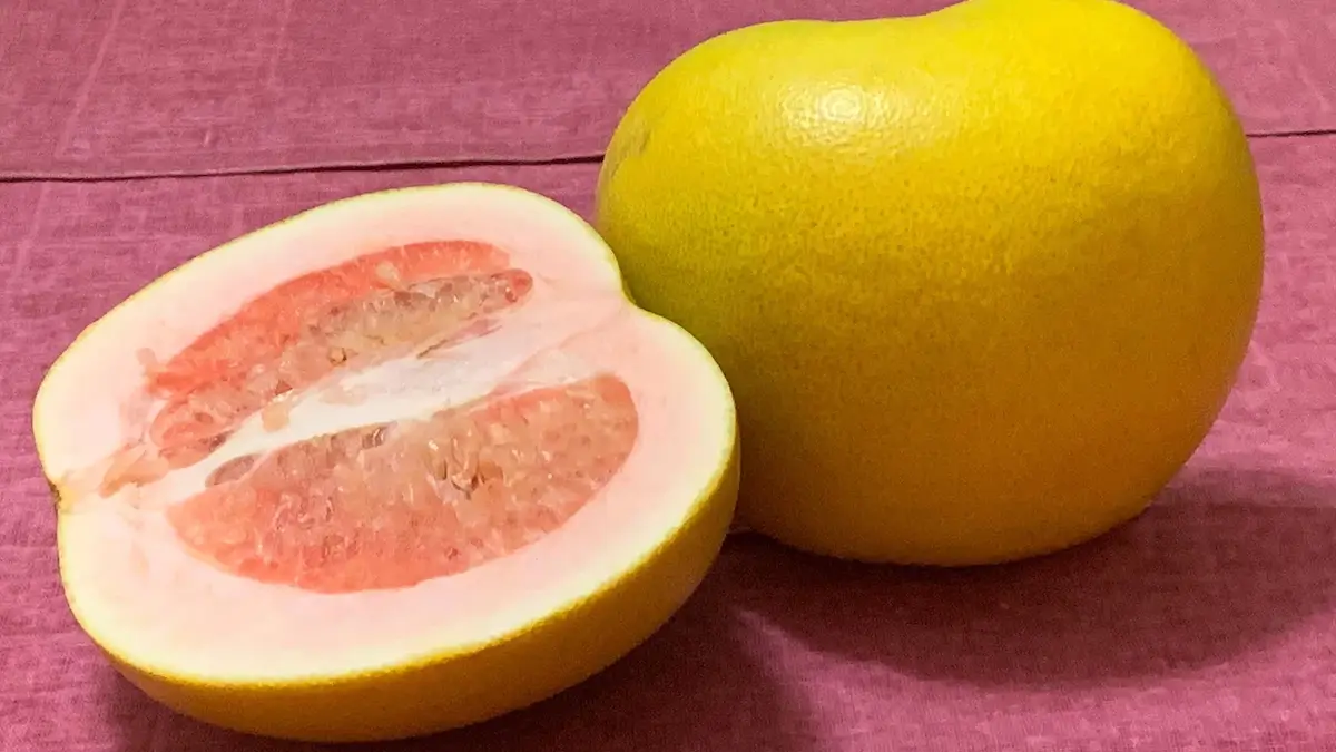 Pomeloschalen als Stromquelle