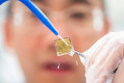 Solarzelle Wasserstoffproduktion, Forschung, Umwelt, Klima, Erneuerbare Energien, Nachhaltigkeit, Klimaziele, Solarenergie