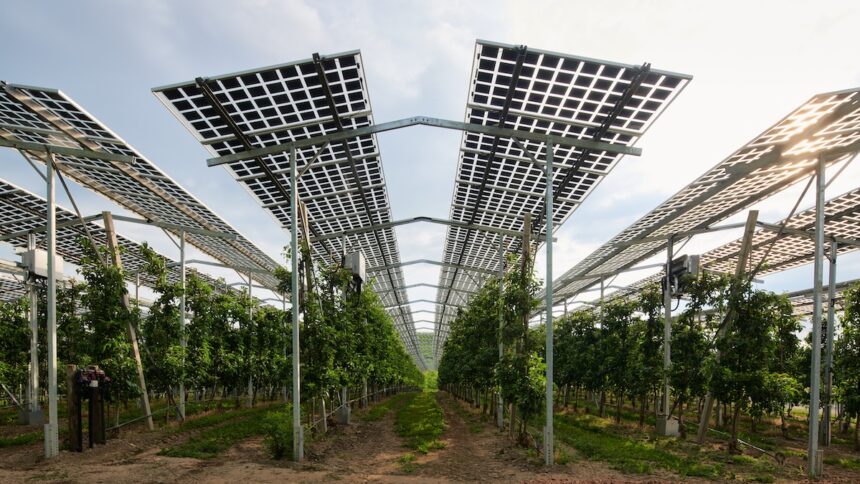 Agri-Photovoltaik, Solarenergie, Landwirtschaft, Fraunhofer, Forschung, Studie, Deutschland, Ausbauziele, Klimaschutz, Umweltschutz