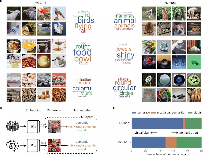 Human AI, research, artificial intelligence, science, neural networks, study