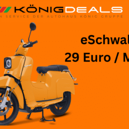 eSchwalbe