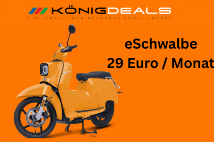 eSchwalbe